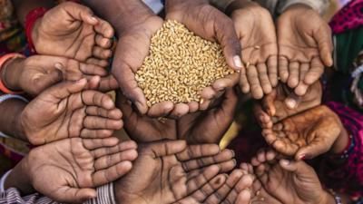 bantuan untuk palestina