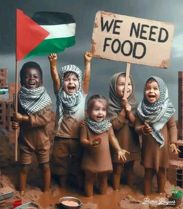 panduan lengkap donasi untuk palestina